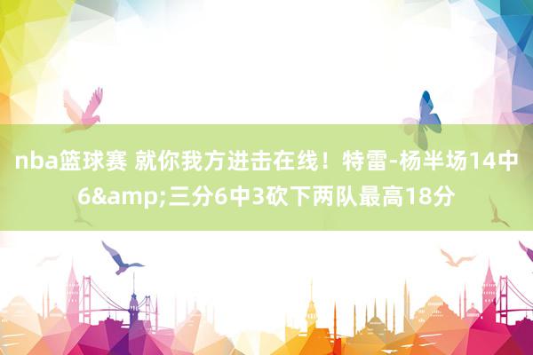 nba篮球赛 就你我方进击在线！特雷-杨半场14中6&三分6中3砍下两队最高18分